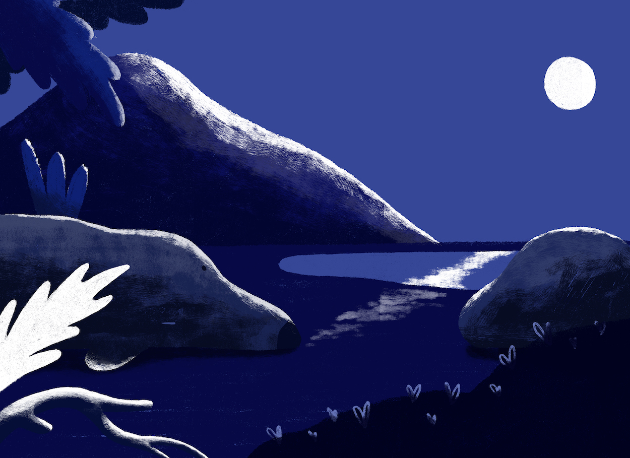 Illustration Experiments